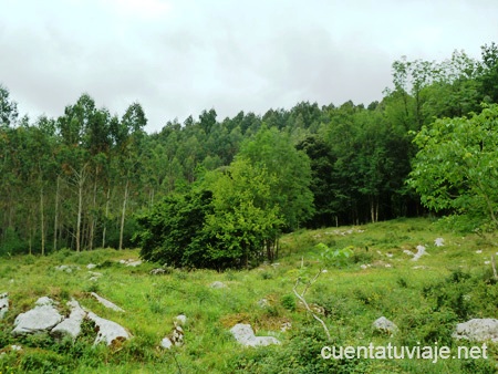 Naturaleza en Gipuzkoa